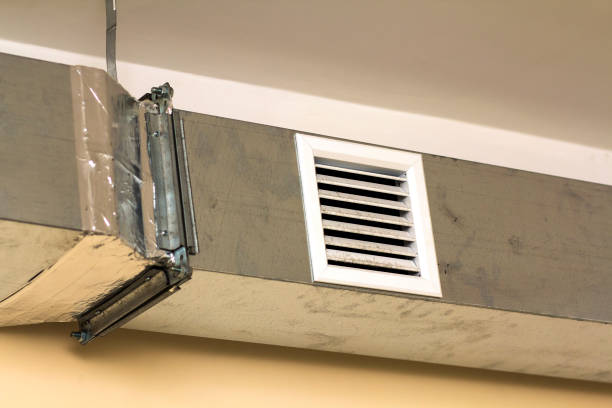 Best HVAC System Cleaning  in Croswell, MI